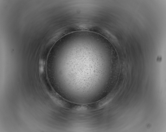 X0000091950075200709201331