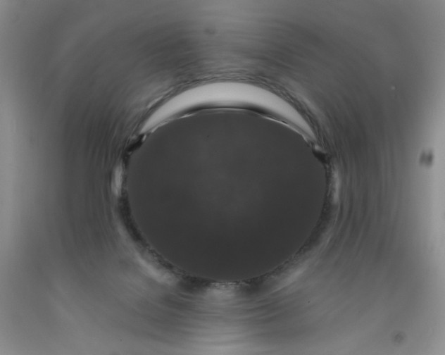 X0000091950076200709201331