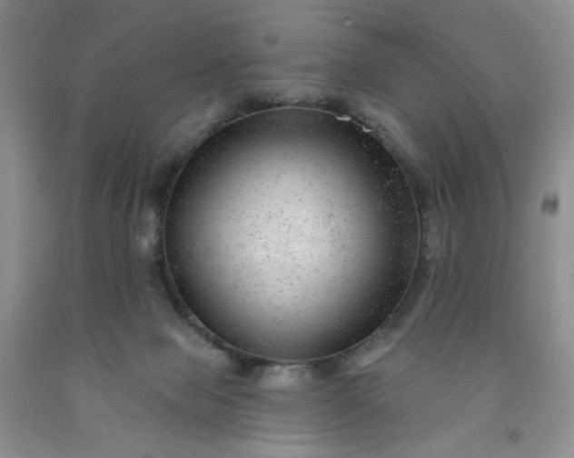 X0000091950077200709201331