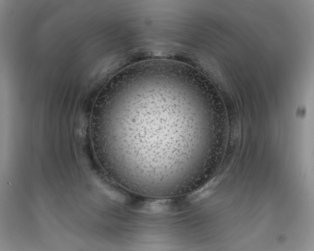 X0000091950078200709201331