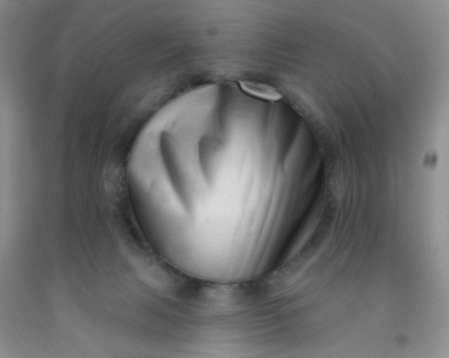 X0000091950079200709201331