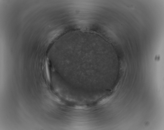 X0000091950080200709201331