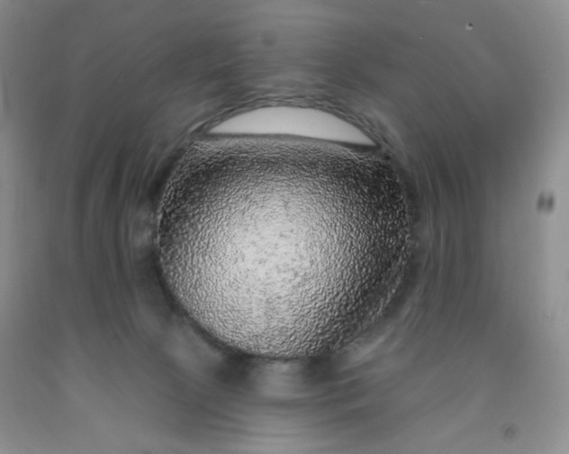 X0000091950081200709201331