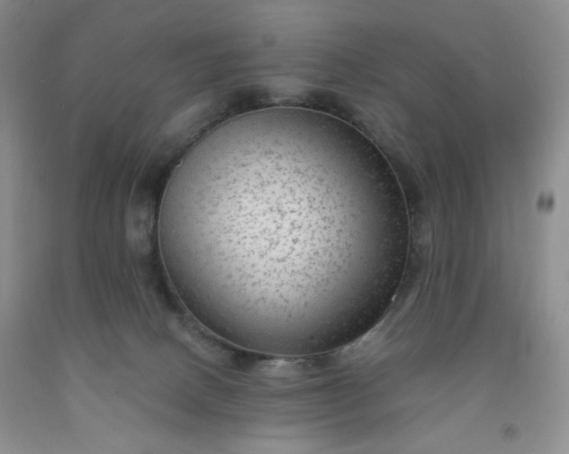 X0000091950082200709201331