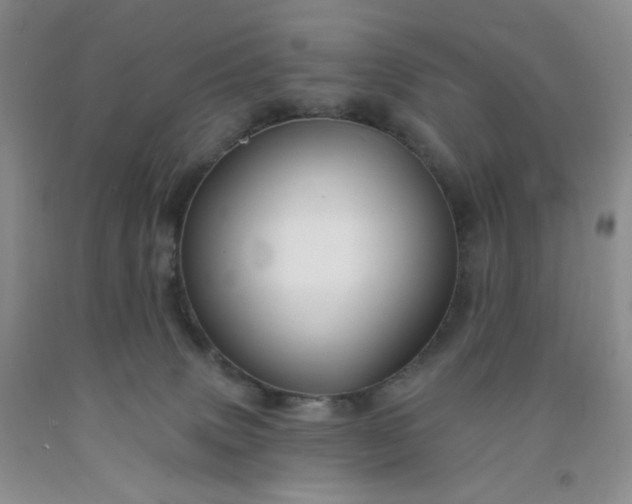 X0000091950083200709201331