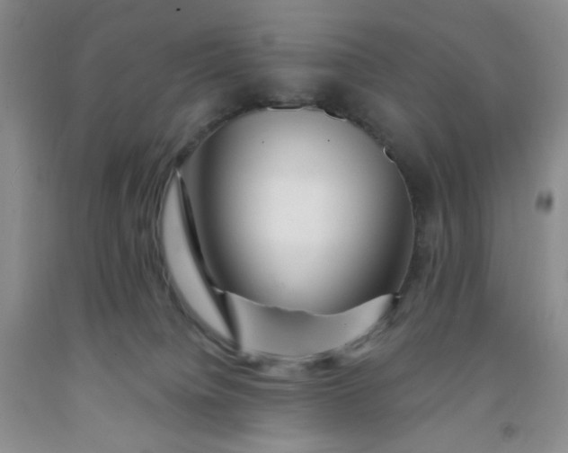 X0000091950084200709201331