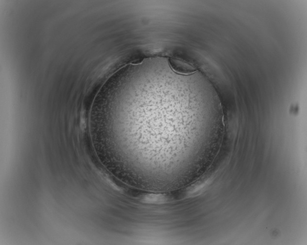 X0000091950085200709201331