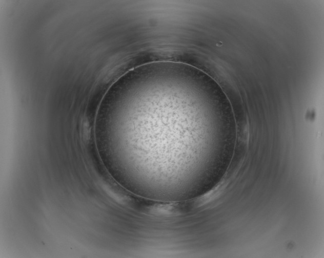 X0000091950086200709201331