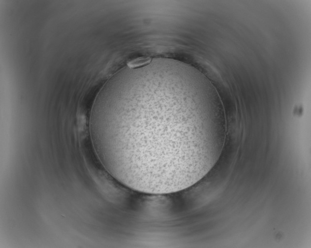 X0000091950087200709201331