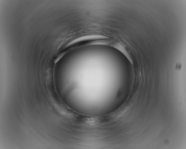 X0000091950088200709201331