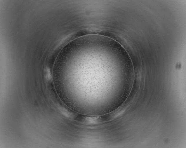 X0000091950089200709201331