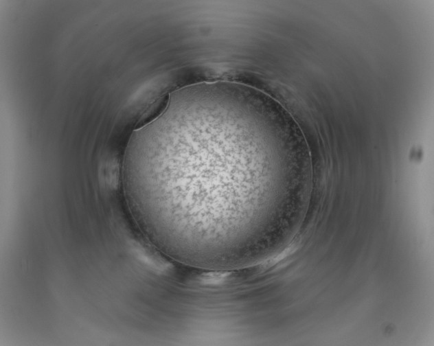 X0000091950090200709201331