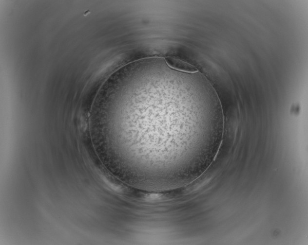 X0000091950091200709201332