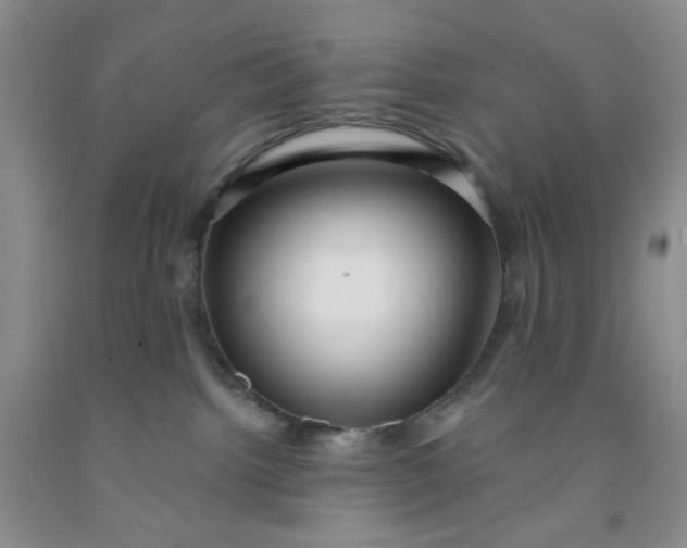 X0000091950092200709201332