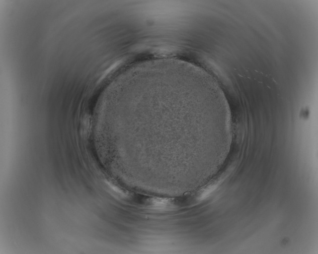 X0000091950093200709201332