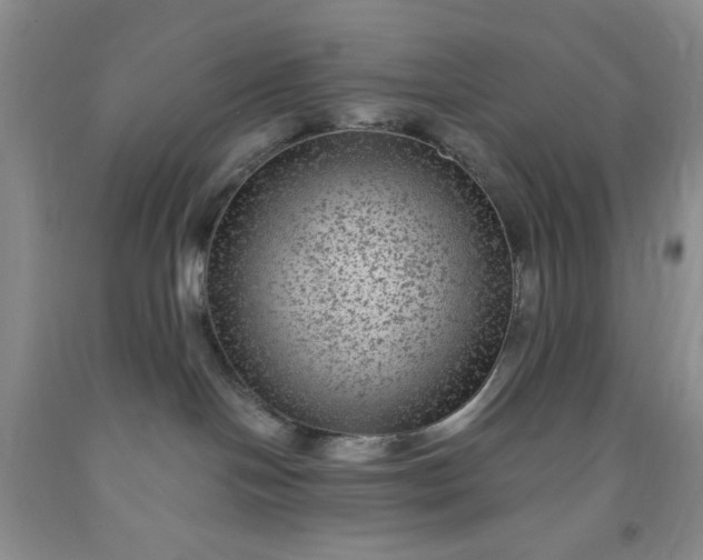 X0000091950094200709201332