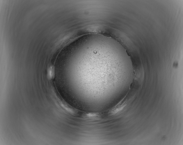 X0000091950095200709201332