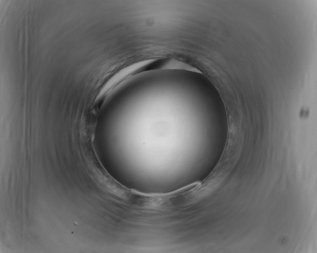 X0000091950096200709201332