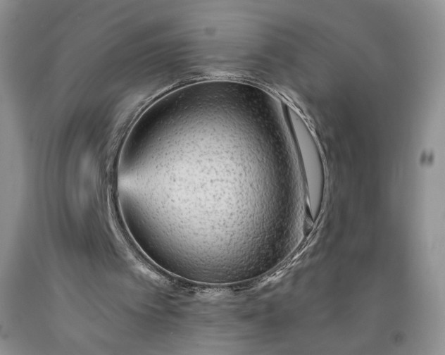 X0000091950097200709201331