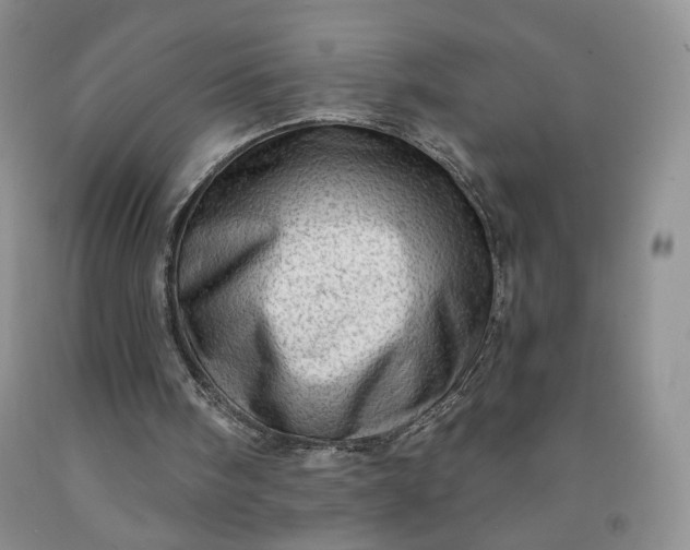 X0000091950098200709201331