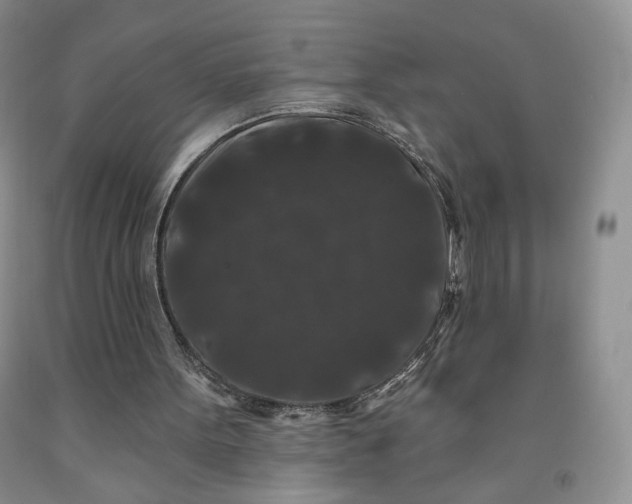 X0000091950099200709201331