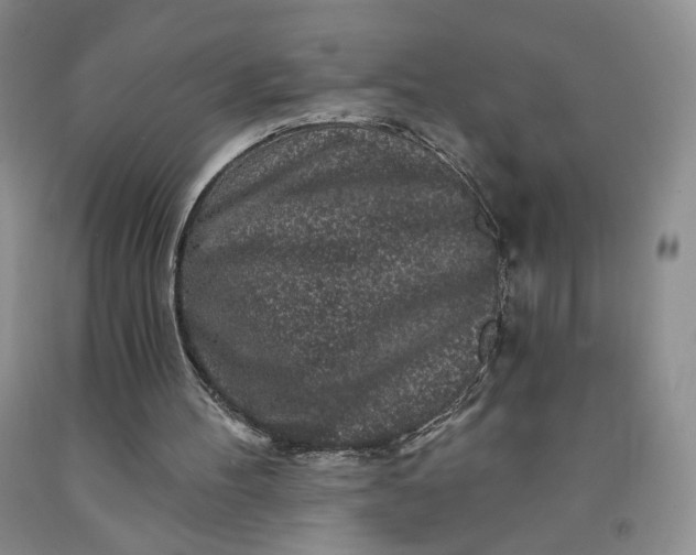 X0000091950100200709201331