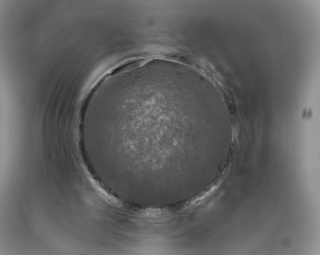 X0000091950101200709201331