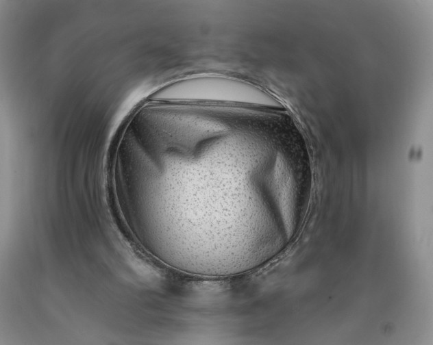 X0000091950102200709201331