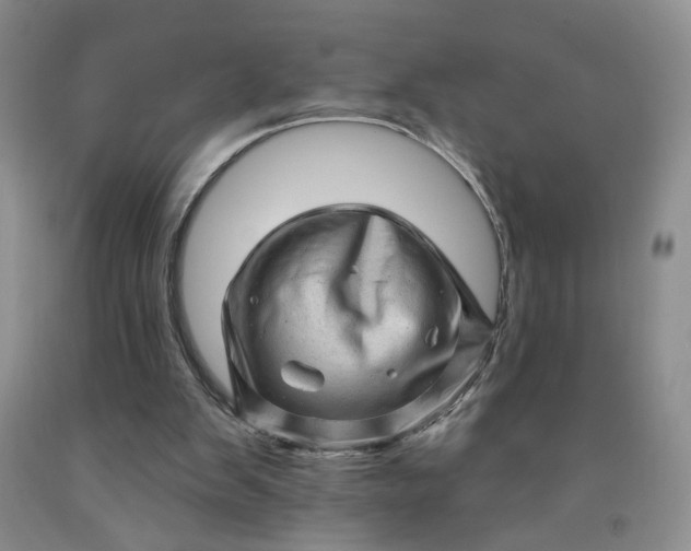 X0000091950103200709201331