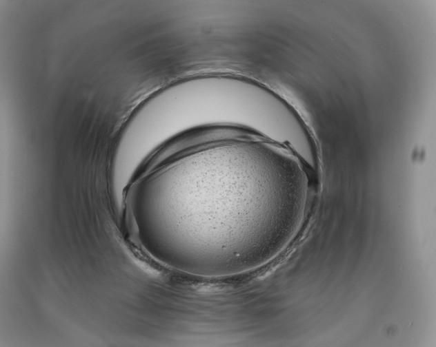 X0000091950105200709201331