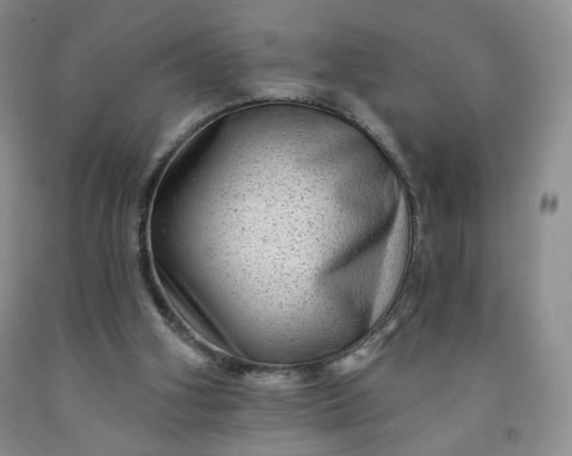 X0000091950106200709201331