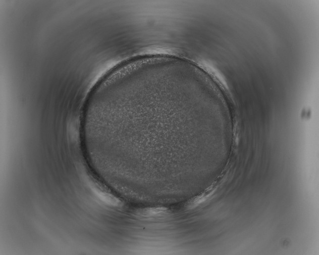 X0000091950108200709201331