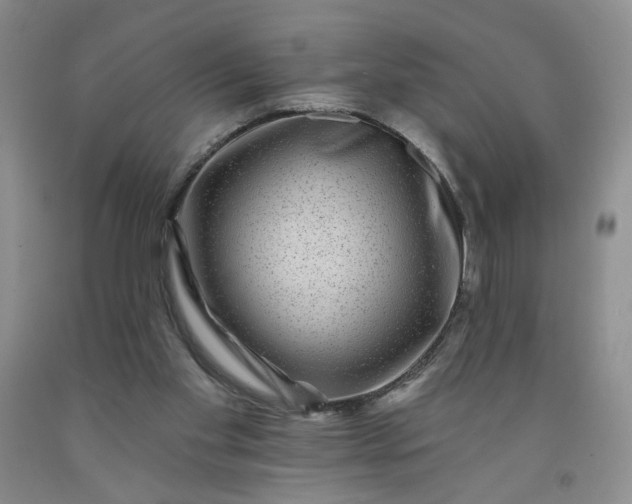 X0000091950109200709201331