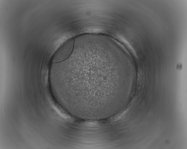 X0000091950110200709201331