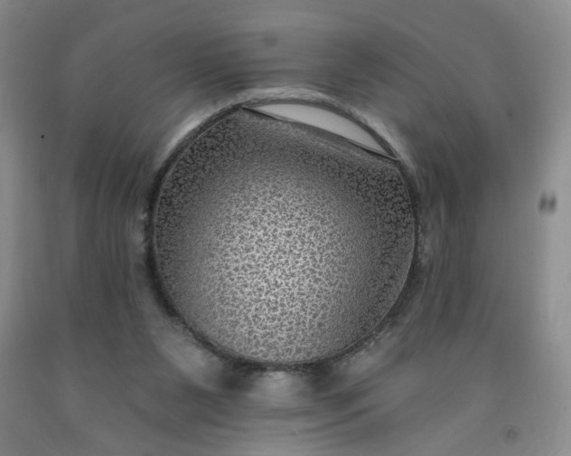 X0000091950111200709201331