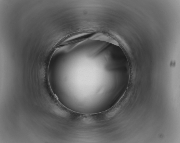 X0000091950113200709201331