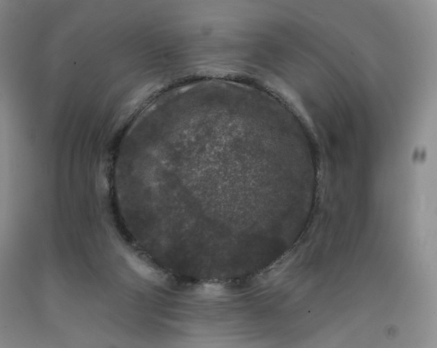 X0000091950114200709201331