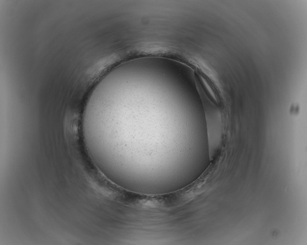 X0000091950115200709201331