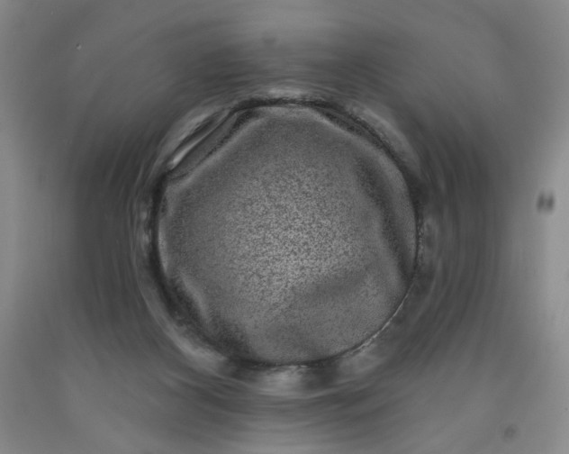 X0000091950116200709201331