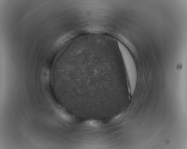 X0000091950117200709201331