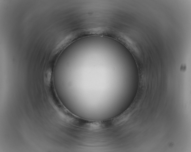 X0000091950118200709201331