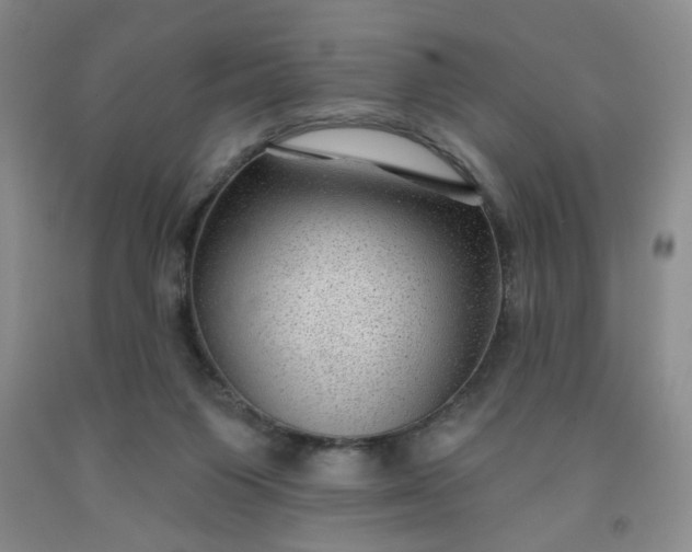 X0000091950119200709201331