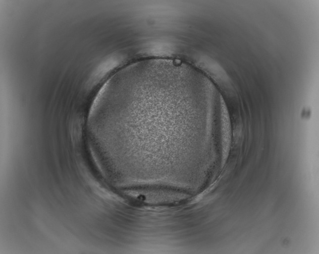 X0000091950120200709201331