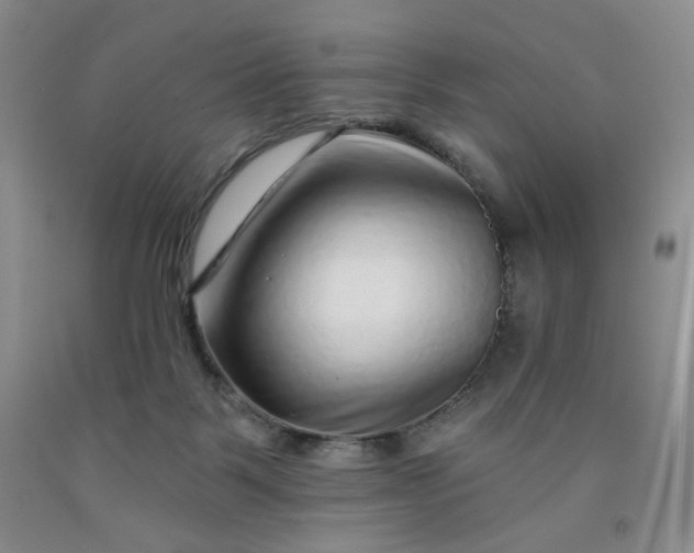 X0000091950123200709201330