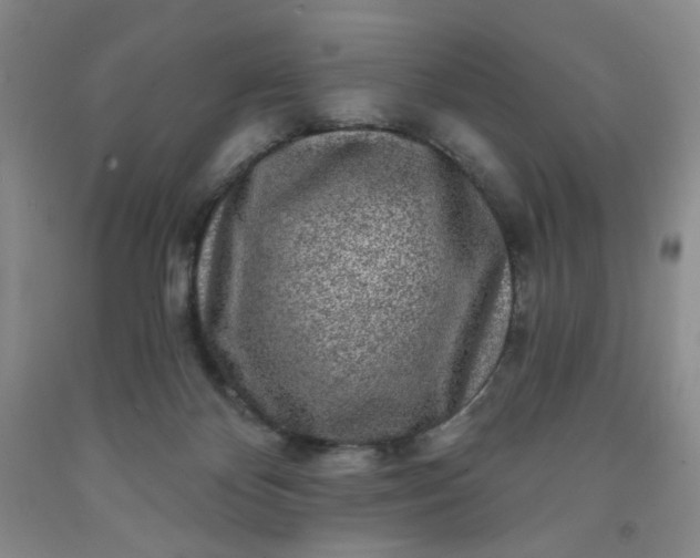 X0000091950124200709201330