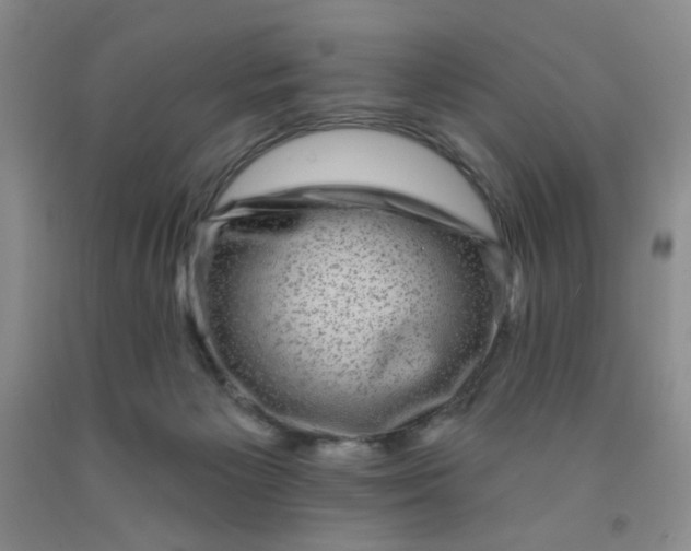 X0000091950125200709201330