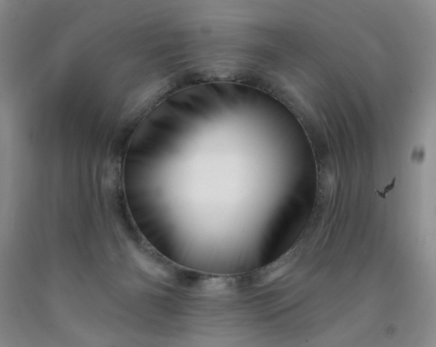 X0000091950126200709201330