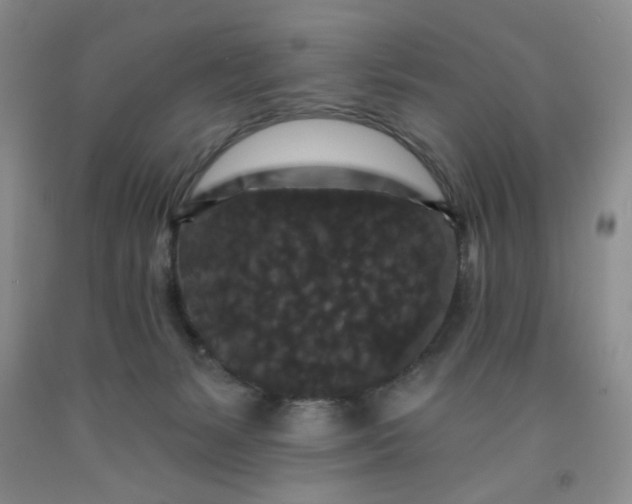 X0000091950127200709201330