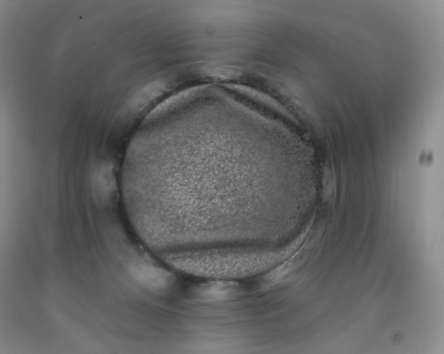 X0000091950128200709201330