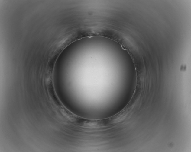 X0000091950129200709201330